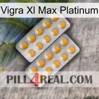 Vigra Xl Max Platinum levitra2
